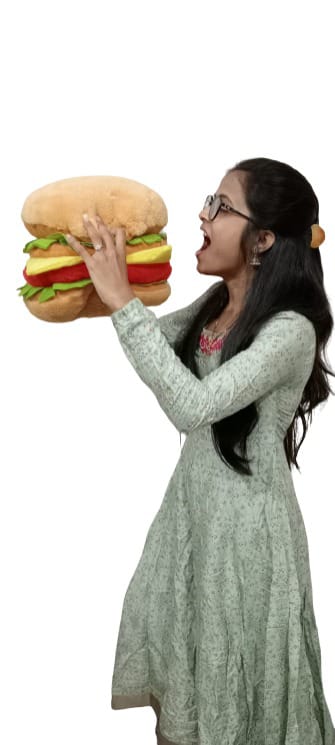 Burger Plushy Soft Toy