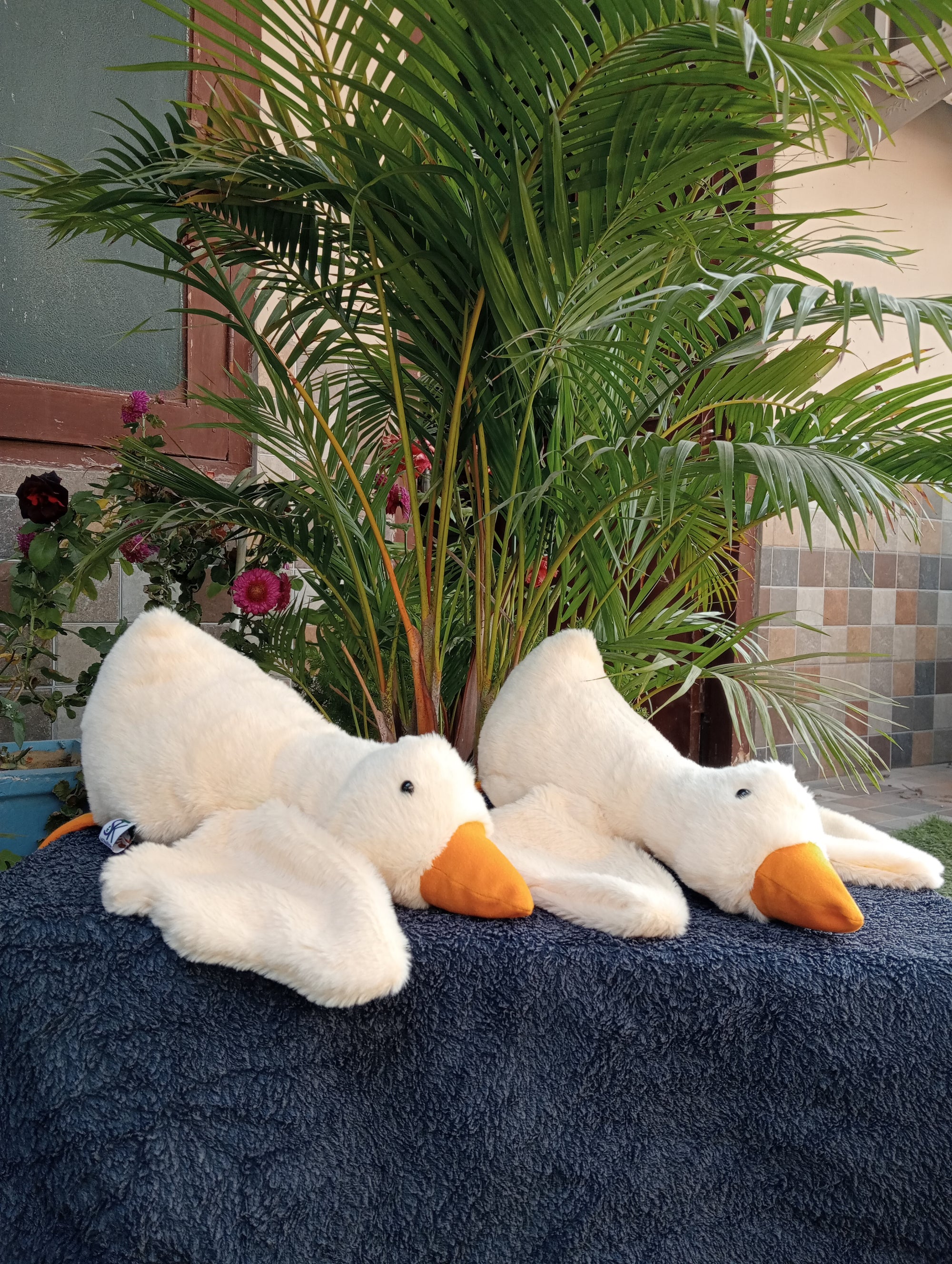 Gooes soft toy