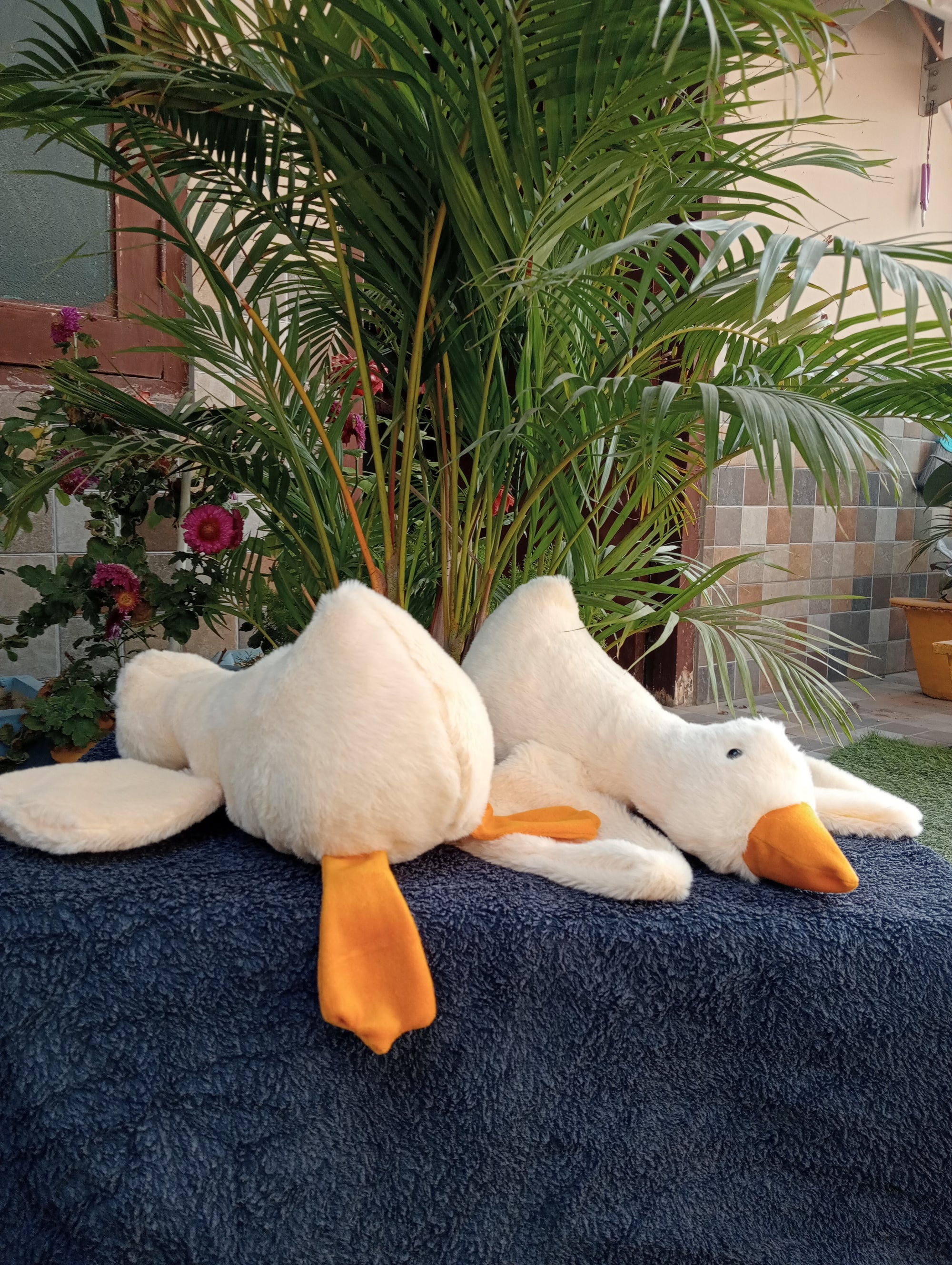 Gooes soft toy