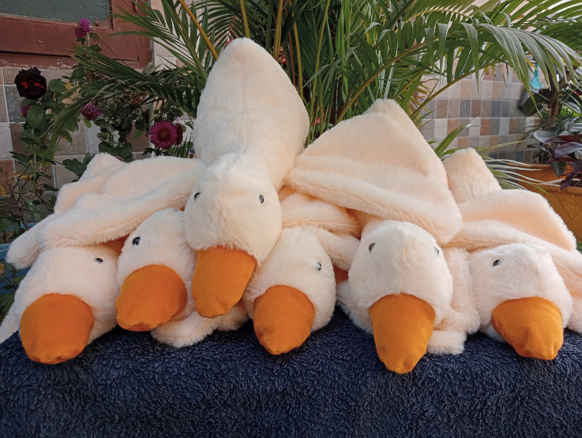 Gooes soft toy