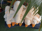 Gooes soft toy