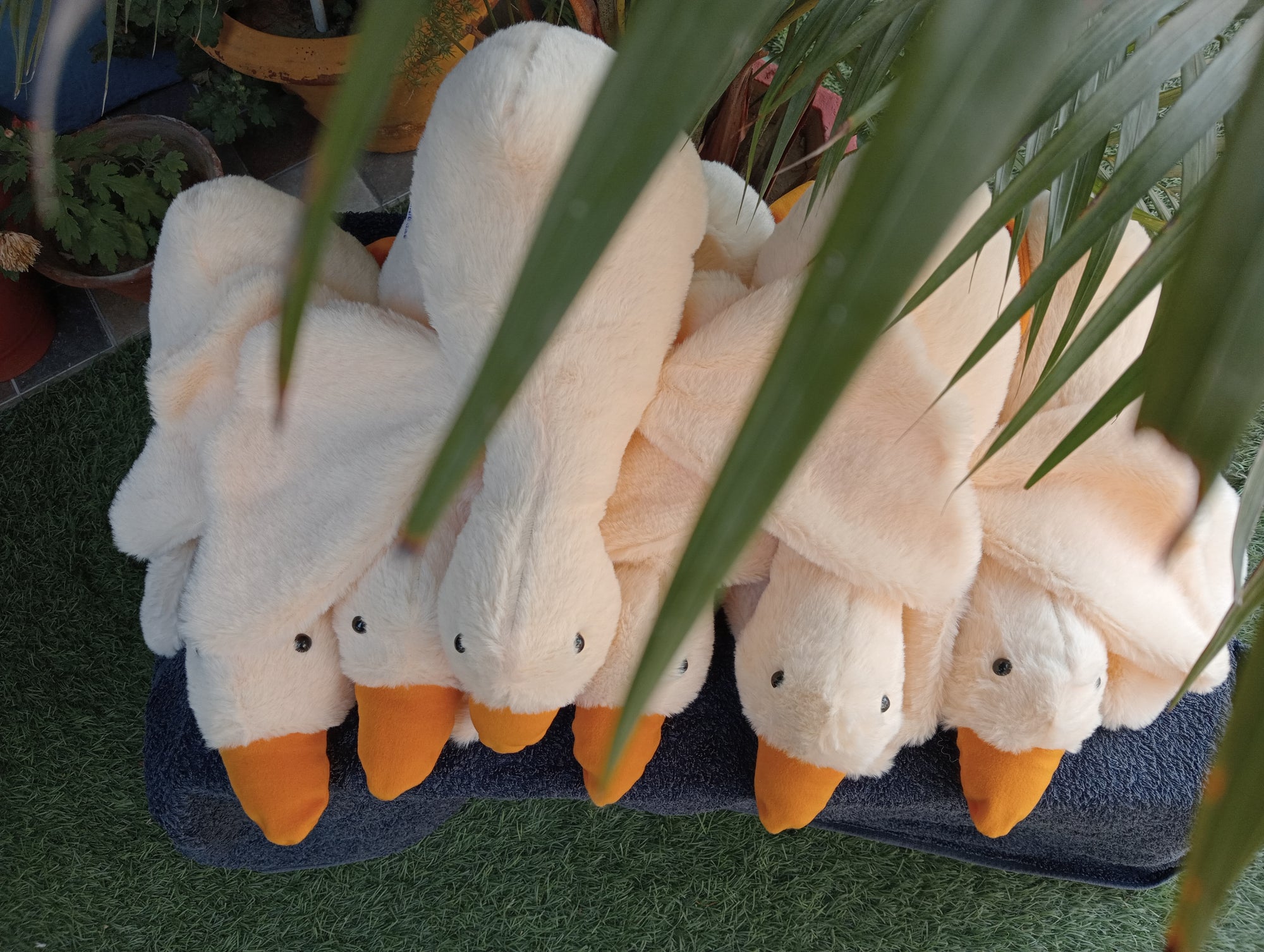 Gooes soft toy