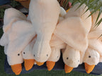 Gooes soft toy