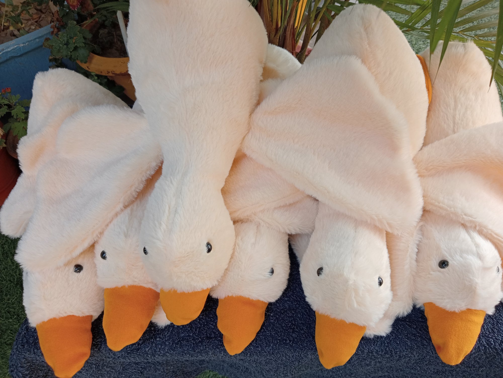 Gooes soft toy