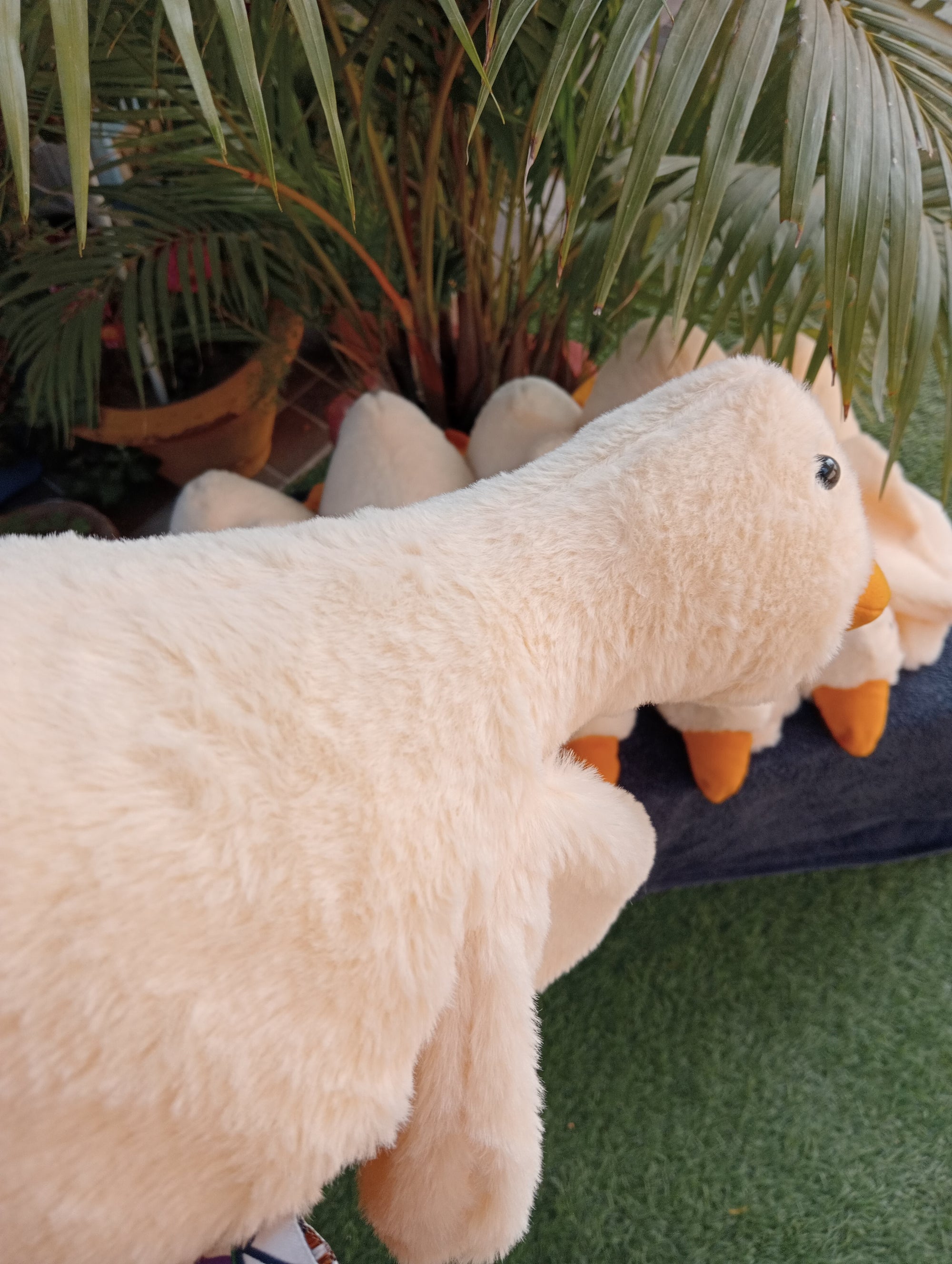 Gooes soft toy