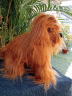 Little Puppy Soft Toy