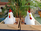 Hen
