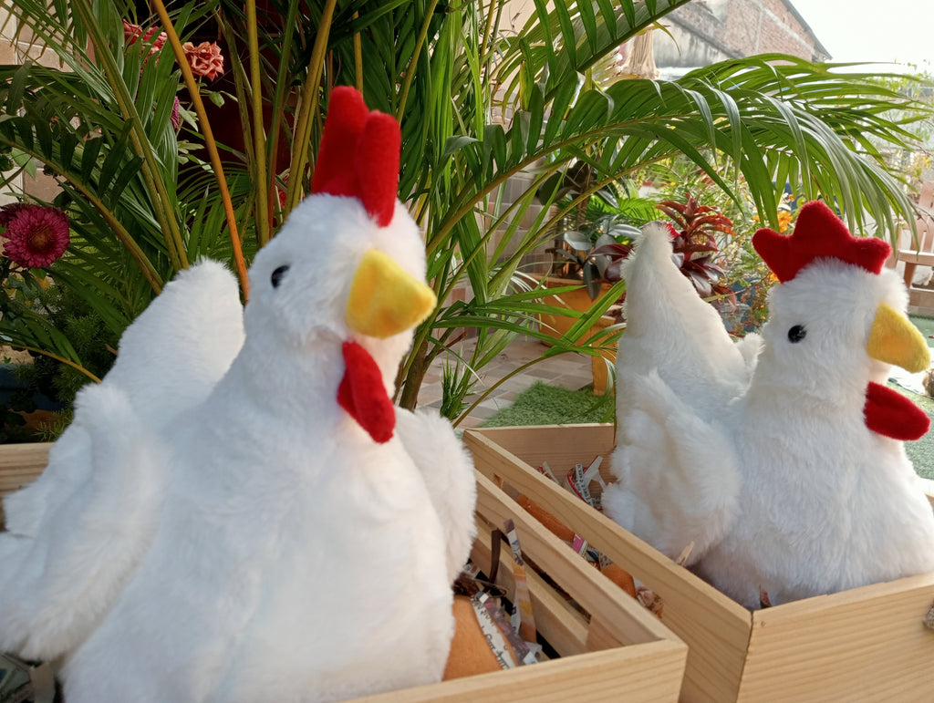 Hen