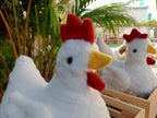 Hen