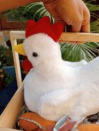 Hen