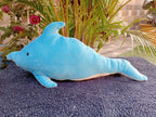 Dolphin Soft toy