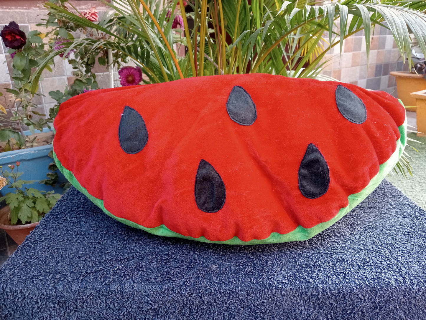 WATERMELON SOFT TOY