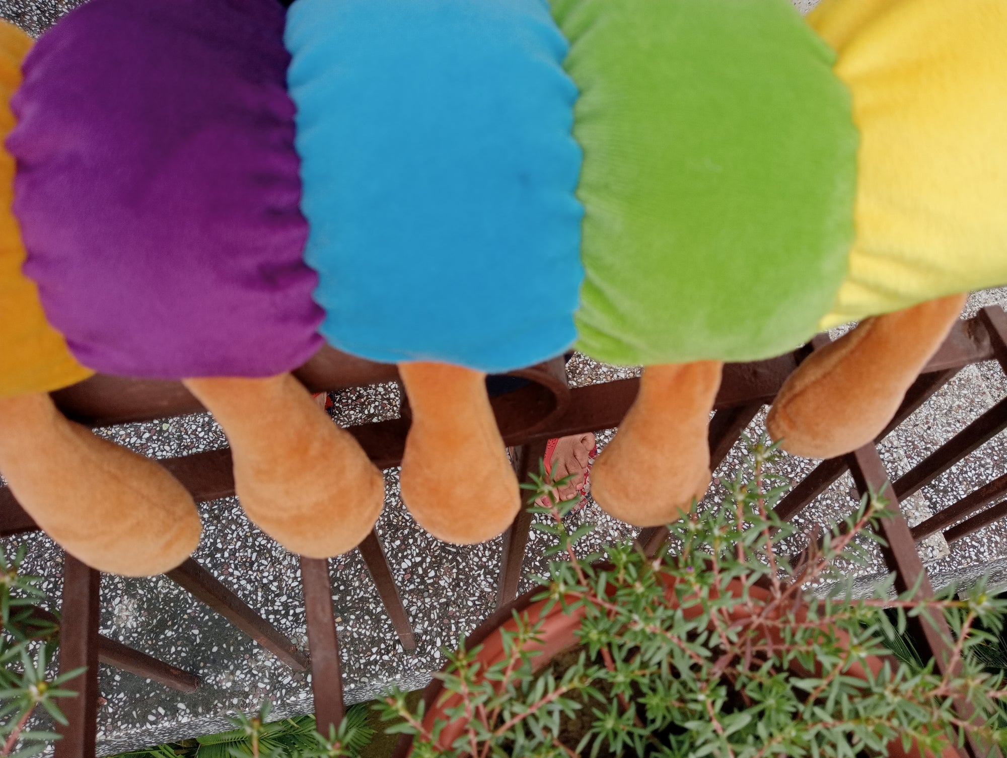 Caterpillar Soft Toy Plush
